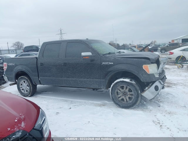 12549529 :رقم المزاد ، 1FTPW14V49FA71575 vin ، 2009 Ford F150 Supercrew مزاد بيع