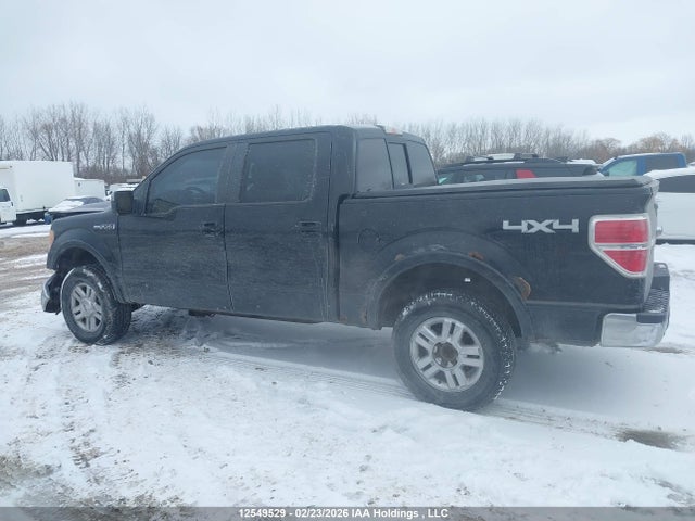 12549529 :رقم المزاد ، 1FTPW14V49FA71575 vin ، 2009 Ford F150 Supercrew مزاد بيع