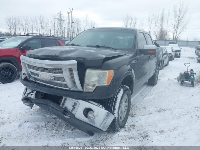 12549529 :رقم المزاد ، 1FTPW14V49FA71575 vin ، 2009 Ford F150 Supercrew مزاد بيع