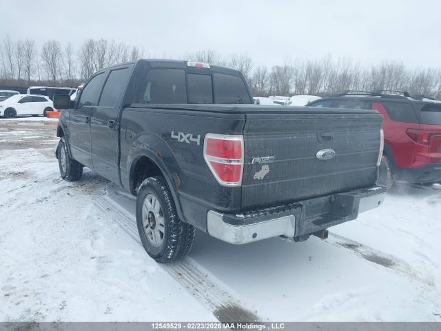 12549529 :رقم المزاد ، 1FTPW14V49FA71575 vin ، 2009 Ford F150 Supercrew مزاد بيع