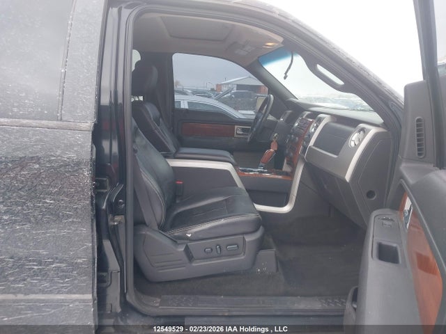 12549529 :رقم المزاد ، 1FTPW14V49FA71575 vin ، 2009 Ford F150 Supercrew مزاد بيع