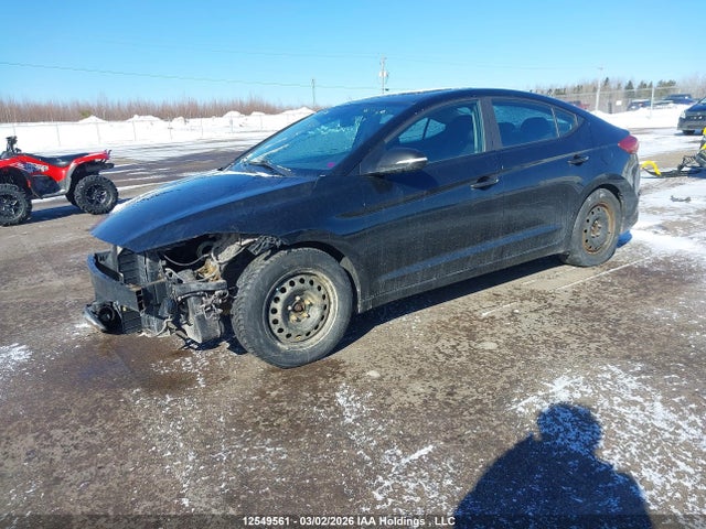 KMHD84LF4HU144278 Hyundai Elantra Gls