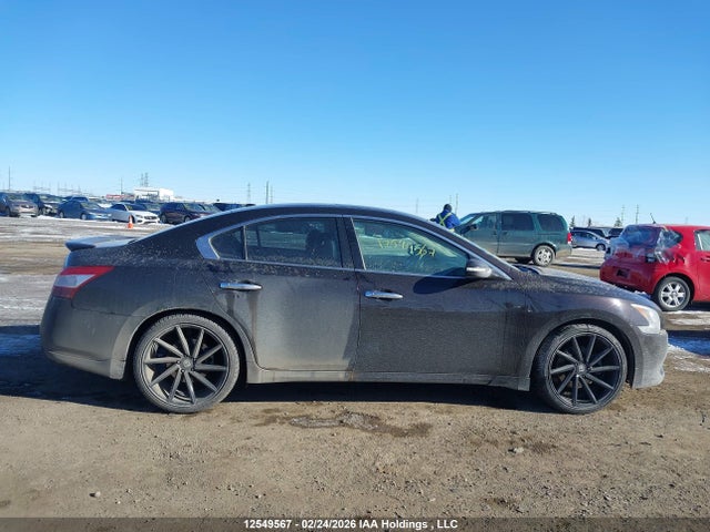 Продаж на аукціоні авто 2011 Nissan Maxima 3.5 S, vin: 1N4AA5AP6BC827163, номер лоту: 12549567