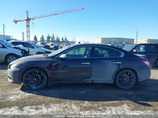 Продаж на аукціоні авто 2011 Nissan Maxima 3.5 S, vin: 1N4AA5AP6BC827163, номер лоту: 12549567