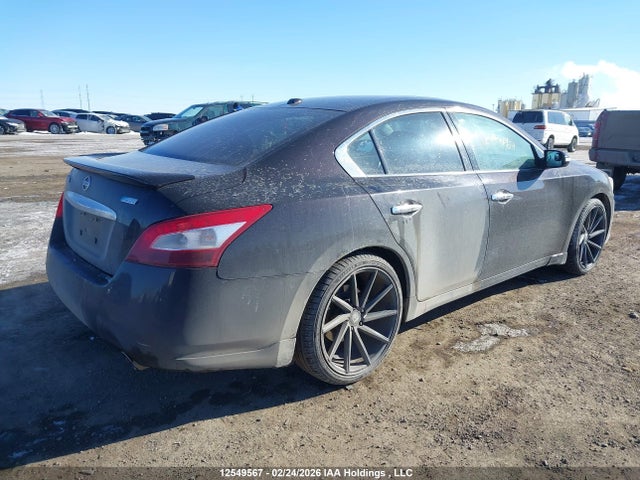 Продаж на аукціоні авто 2011 Nissan Maxima 3.5 S, vin: 1N4AA5AP6BC827163, номер лоту: 12549567