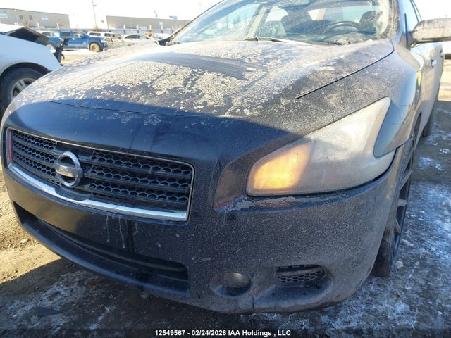 Продаж на аукціоні авто 2011 Nissan Maxima 3.5 S, vin: 1N4AA5AP6BC827163, номер лоту: 12549567