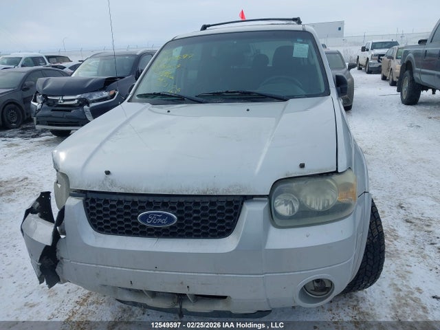 12549597 :رقم المزاد ، 1FMCU94145KA38489 vin ، 2005 Ford Escape Limited مزاد بيع