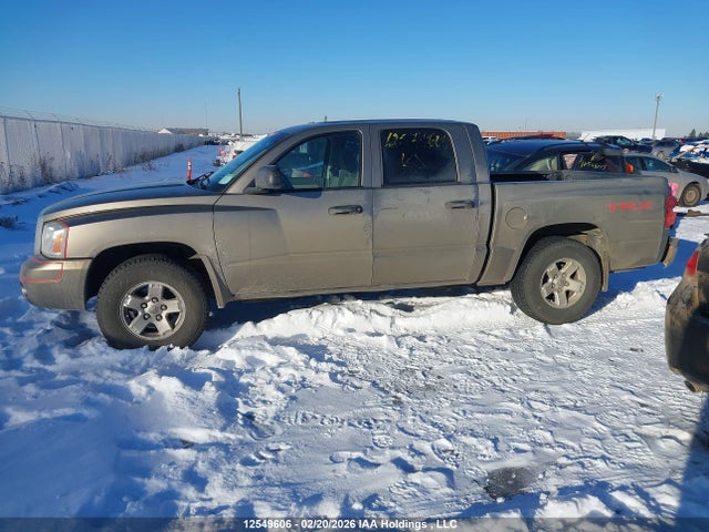 12549606 :رقم المزاد ، 1D7HE48N36S654909 vin ، 2006 Dodge Dakota Quad Slt مزاد بيع