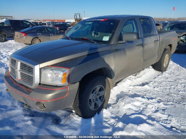 12549606 :رقم المزاد ، 1D7HE48N36S654909 vin ، 2006 Dodge Dakota Quad Slt مزاد بيع