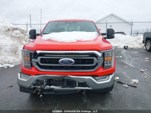 Aukcja sprzedaży 2023 Ford F-150 Xlt, vin: 1FTFW1E82PKD74332, numer aukcji: 12549609
