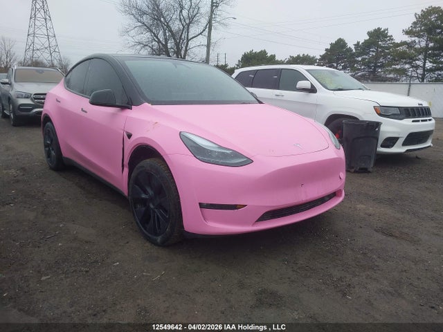 Продажа на аукционе авто 2025 Tesla Model Y, vin: 7SAYGDEE3SF280580, номер лота: 12549642