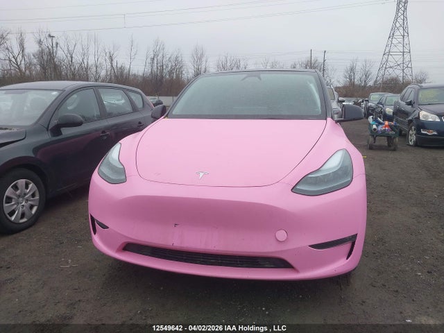 Aukcja sprzedaży 2025 Tesla Model Y, vin: 7SAYGDEE3SF280580, numer aukcji: 12549642