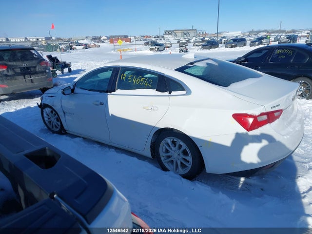 1G1ZE5ST7HF111921 Chevrolet MALIBU 1LT