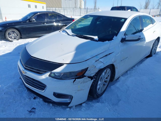 1G1ZE5ST7HF111921 Chevrolet MALIBU 1LT