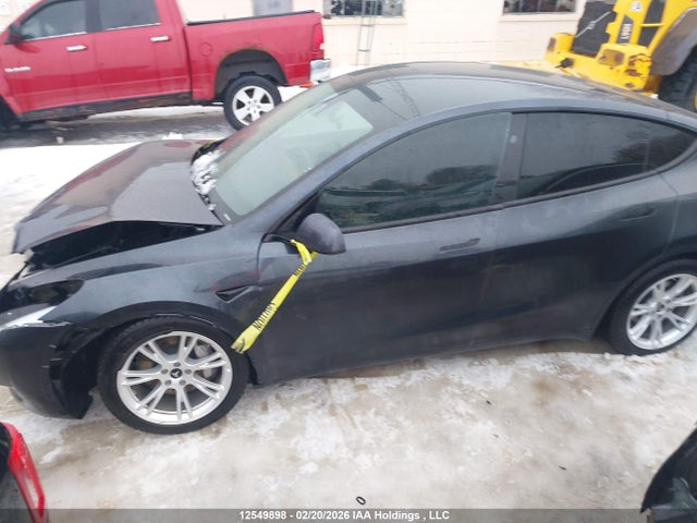 Продажа на аукционе авто 2024 Tesla Model Y, vin: LRWYGDEE5RC642149, номер лота: 12549898