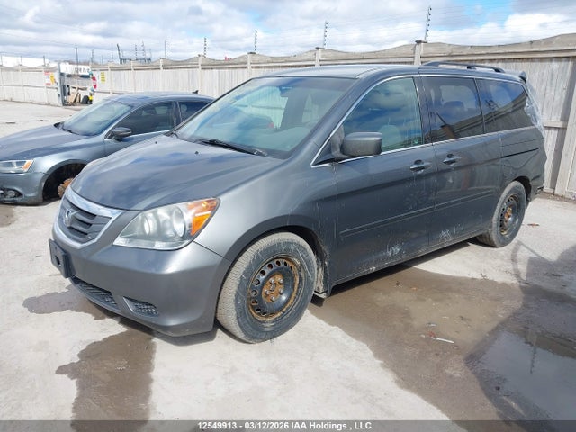 2008 Honda Odyssey მანქანა იყიდება აუქციონზე, vin: 5FNRL384X8B501420, აუქციონის ნომერი: 12549913