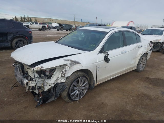 Продажа на аукционе авто 2011 Honda Accord Ex-l V6, vin: 1HGCP3F83BA800085, номер лота: 12528097
