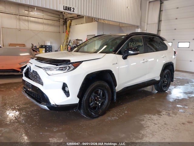 2T3RWRFV1LW073889 Toyota Rav4 Xle/xse