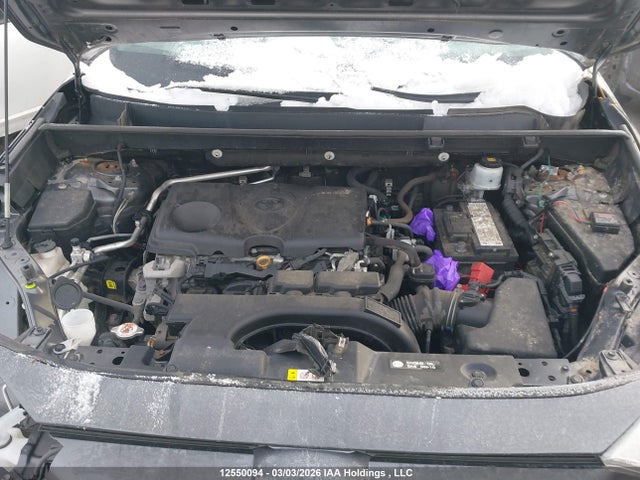 2019 Toyota Rav4 Xle მანქანა იყიდება აუქციონზე, vin: 2T3R1RFV1KC056301, აუქციონის ნომერი: 12550094