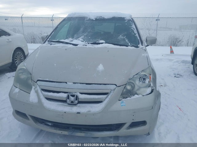 Продаж на аукціоні авто 2006 Honda Odyssey Ex, vin: 5FNRL38446B504178, номер лоту: 12550103