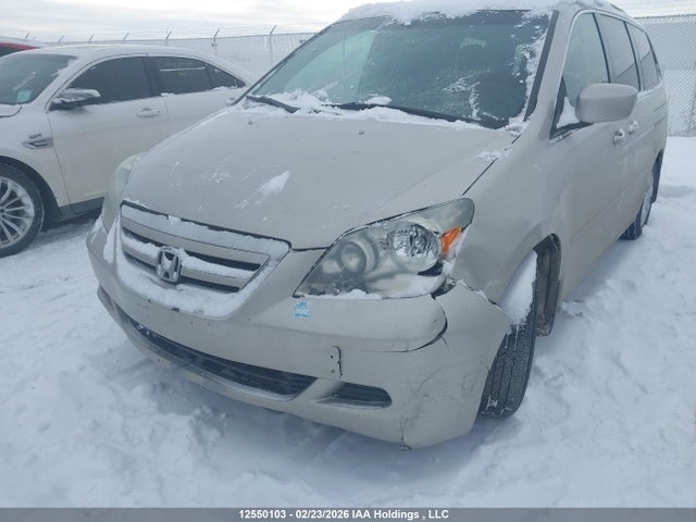 Продаж на аукціоні авто 2006 Honda Odyssey Ex, vin: 5FNRL38446B504178, номер лоту: 12550103