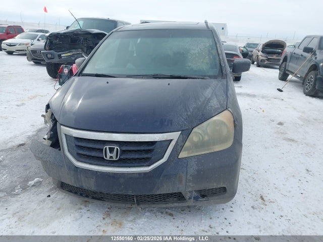 2008 Honda Odyssey Ex-l მანქანა იყიდება აუქციონზე, vin: 5FNRL386X8B506263, აუქციონის ნომერი: 12550160