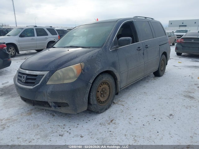 2008 Honda Odyssey Ex-l მანქანა იყიდება აუქციონზე, vin: 5FNRL386X8B506263, აუქციონის ნომერი: 12550160
