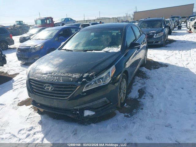 5NPE24AF9FH116075 Hyundai SONATA GLS