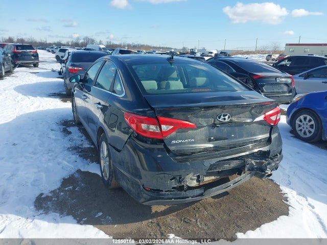 5NPE24AF9FH116075 Hyundai SONATA GLS