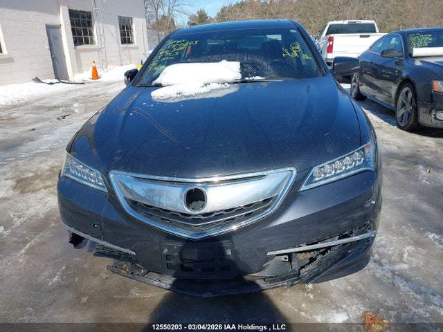 12550203 :رقم المزاد ، 19UUB1F5XFA800328 vin ، 2015 Acura Tlx مزاد بيع