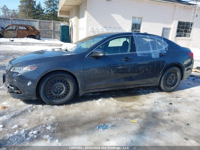 12550203 :رقم المزاد ، 19UUB1F5XFA800328 vin ، 2015 Acura Tlx مزاد بيع