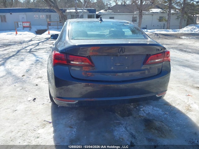 12550203 :رقم المزاد ، 19UUB1F5XFA800328 vin ، 2015 Acura Tlx مزاد بيع