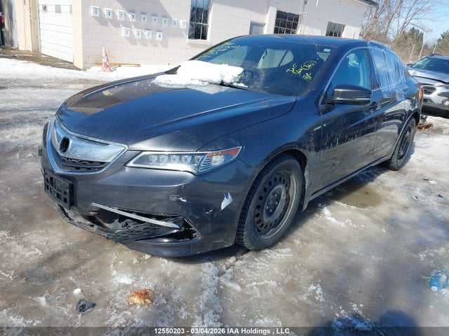 12550203 :رقم المزاد ، 19UUB1F5XFA800328 vin ، 2015 Acura Tlx مزاد بيع