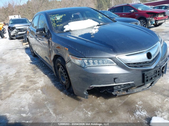 12550203 :رقم المزاد ، 19UUB1F5XFA800328 vin ، 2015 Acura Tlx مزاد بيع