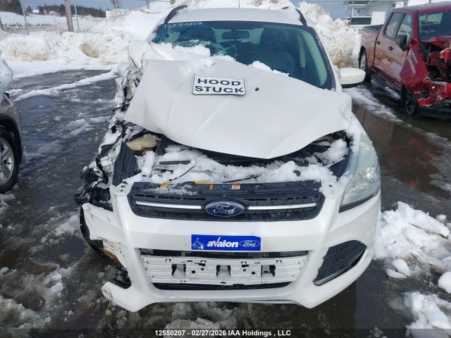Продажа на аукционе авто 2014 Ford Escape Se, vin: 1FMCU9G95EUE43265, номер лота: 12550207