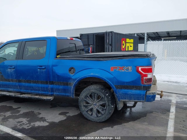 Продаж на аукціоні авто 2019 Ford F150 Supercrew, vin: 1FTFW1E45KFB71160, номер лоту: 12550230