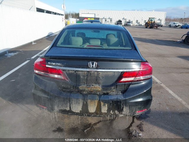12550244 :رقم المزاد ، 2HGFB2F43FH056529 vin ، 2015 Honda Civic مزاد بيع