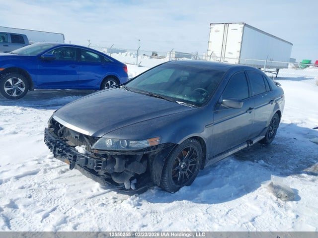 Продажа на аукционе авто 2005 Acura Tl, vin: 19UUA66285A803944, номер лота: 12550255