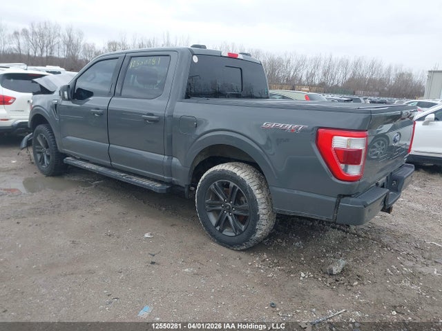 1FTEW1EP3MKD49745 Ford F-150