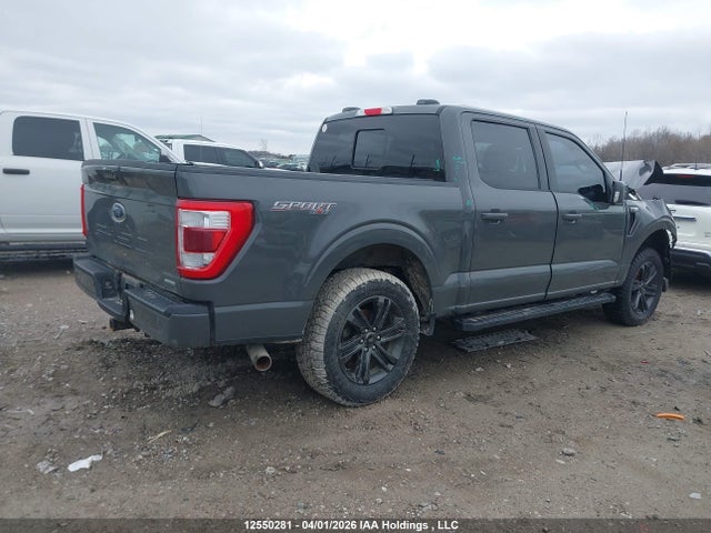 1FTEW1EP3MKD49745 Ford F-150