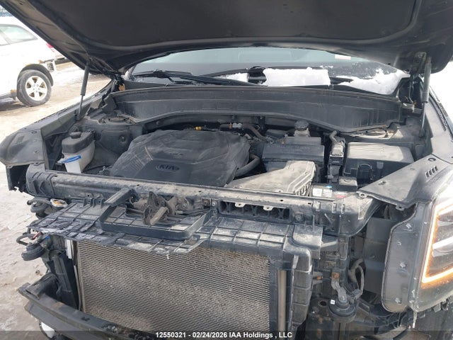 KIA Telluride Sx 2020 5XYP5DHC6LG005885 Image 10
