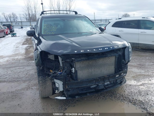 KIA Telluride Sx 2020 5XYP5DHC6LG005885 Image 6