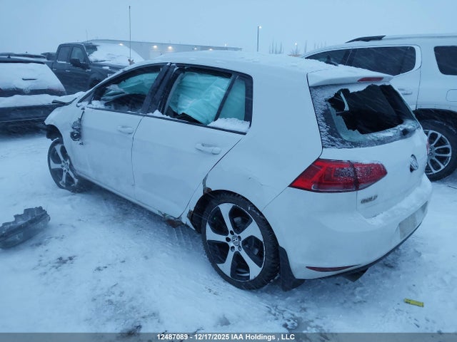 3VW217AU7GM041116 Volkswagen Golf