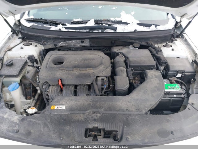 5NPE34AF1GH413145 Hyundai Sonata Sport/limited
