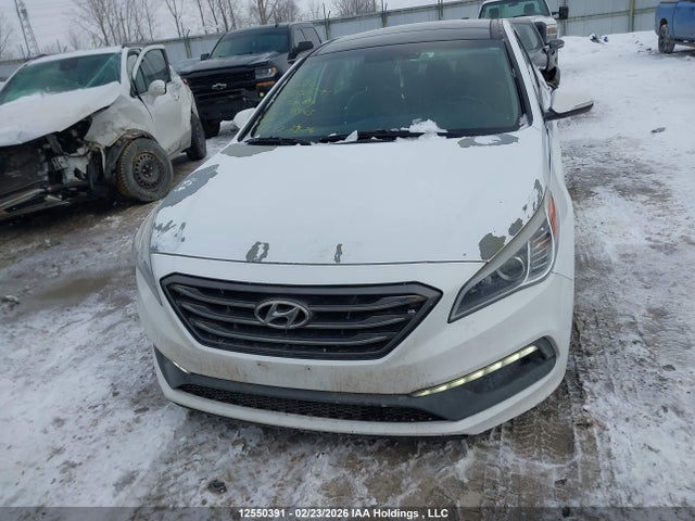 5NPE34AF1GH413145 Hyundai Sonata Sport/limited