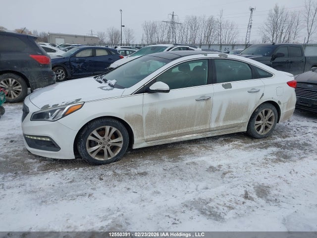 5NPE34AF1GH413145 Hyundai Sonata Sport/limited