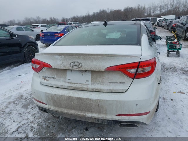 5NPE34AF1GH413145 Hyundai Sonata Sport/limited