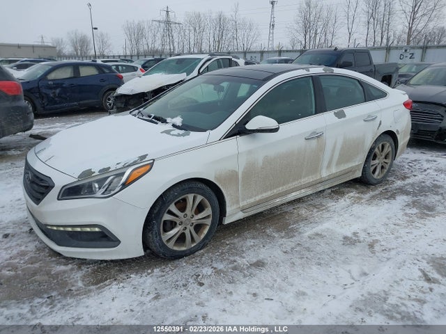5NPE34AF1GH413145 Hyundai Sonata Sport/limited