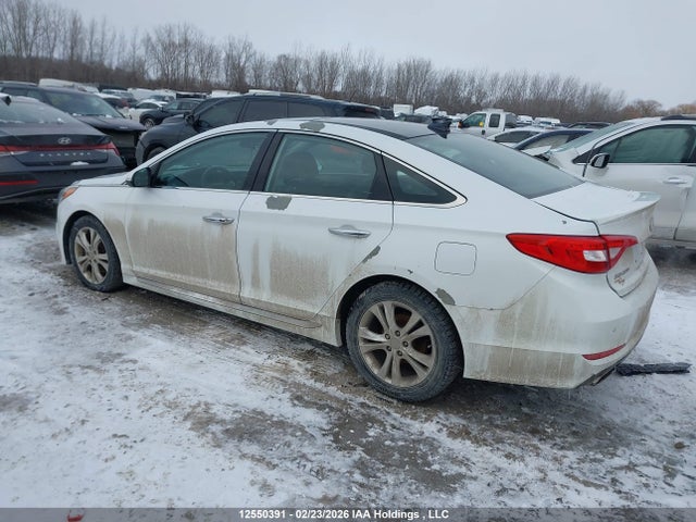 5NPE34AF1GH413145 Hyundai Sonata Sport/limited