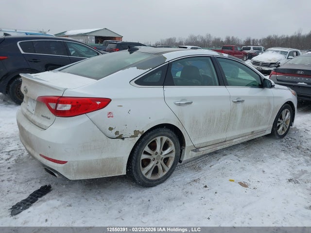 5NPE34AF1GH413145 Hyundai Sonata Sport/limited